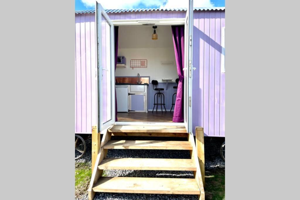 Lilac Tree Hut * Tenby